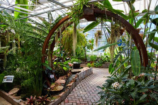 Lush Greenhouse Interior in Muncie, Indiana - An Inviting Pathway Through Tropical Exuberance