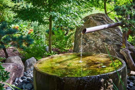 Serene Japanese garden in Elkhart Indiana Botanic Gardens with a traditional tsukubai water fountain, vibrant Japanese maple, and blue-tinted conifer in 2023