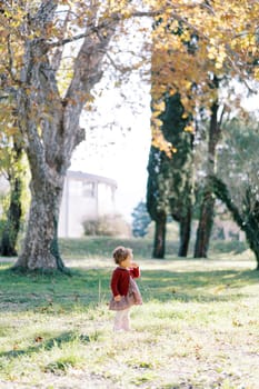 Little girl stands on a sunny lawn and looks into the distance. Side view. High quality photo