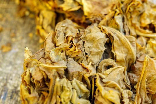 Dry Tobacco leaves background, close up. Tobacco big leaf, macro. Selective focus