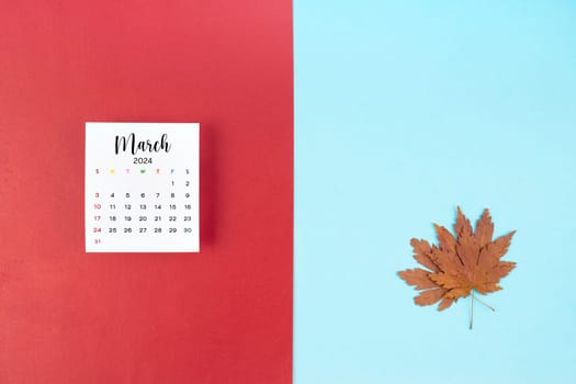 Top view of a February 2024 calendar and autumn foliage on a red and blue background. Empty space provided for text or advertising purposes