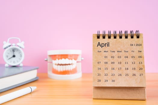 April monthly desk calendar for 2024 year and model dentures on the table. Dental health concepts.