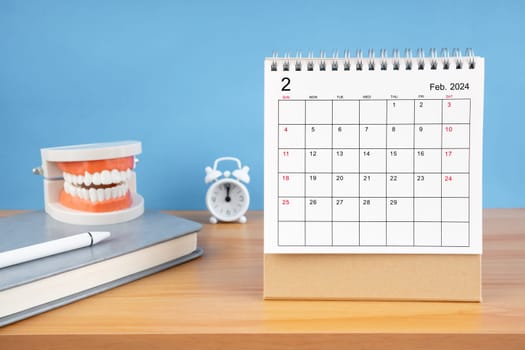 February monthly desk calendar for year 2024 and model dentures on the table. Dental health concepts.