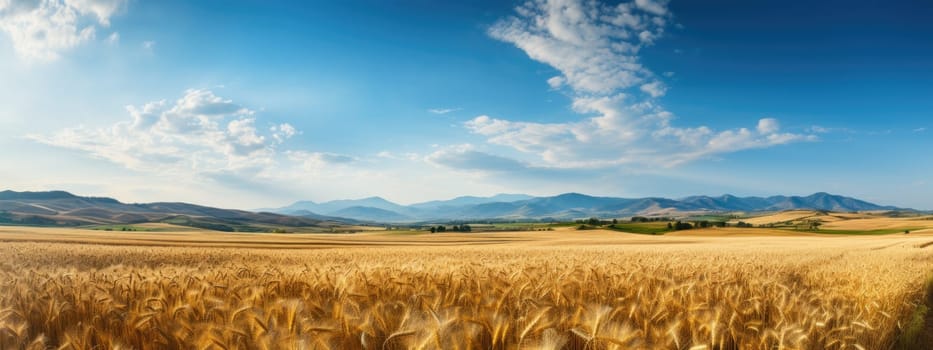 Panorama Landscape barley field, Generate with Ai.