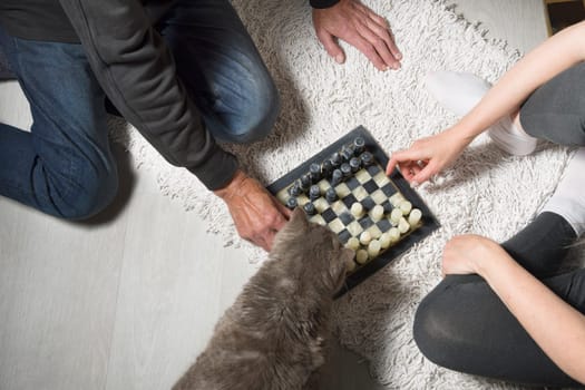 married couple playing chess on the carpet and a gray cat watching the game, evening games at home with family, top view, High quality photo