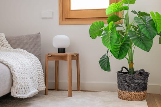 Pot with flower on floor of bedroom next to stool with light and terry bathrobe put sofa. Created coziness in renovated room with wooden window