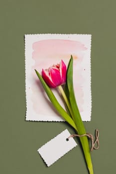 Festive greeting card with tulip on a watercolor sheet of paper with a green background.