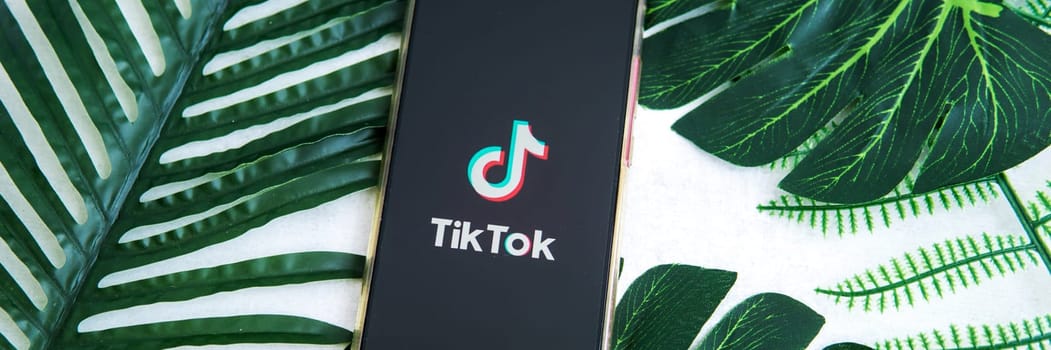 Tver, Russia-August 5, 2020, the tik tok logo on the smartphone screen on a background with green plant leaves. Tik-Tok icon. logo of the current app. Tiktok social network.