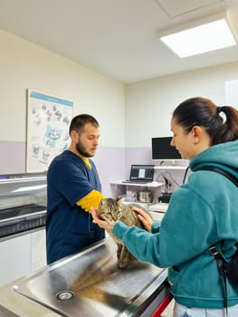 Woman holding cat on table while being examined by doctor in clinic. High quality photo