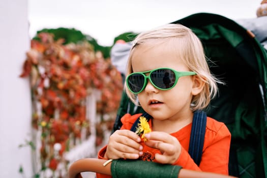 Little girl in sunglasses with a yellow dandelion sits in a stroller. High quality photo