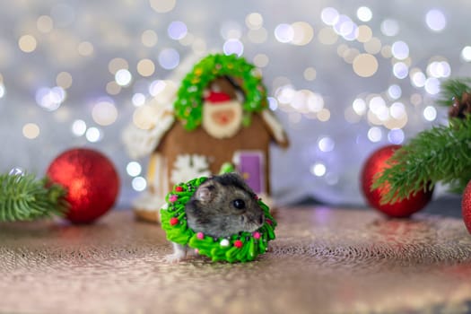 a small gray hamster with a sweet green decoration on his neck against a background of Christmas tree decorations and bokeh. Christmas or New Year concept. soft focus