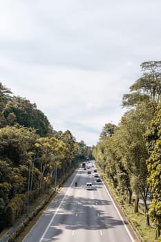 Highway Lined with Beautiful Trees