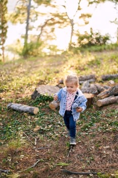 Little girl with a toy in her hand walks through the forest past the logs. High quality photo