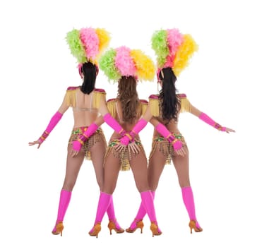 Rear view of seductive dancers in carnival costumes