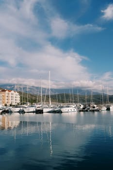 Yachts are moored at the Lustica Bay marina. Montenegro. High quality photo