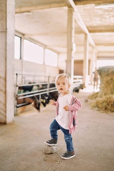 Little girl stands on a farm next to goats in pens. High quality photo
