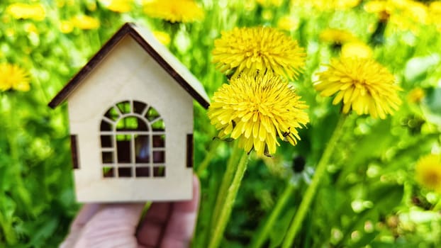miniature toy house in grass and dandelion flowers, spring natural background. symbol of family. mortgage, construction, rental, property concept. Eco Friendly home. Blurred and selective focus