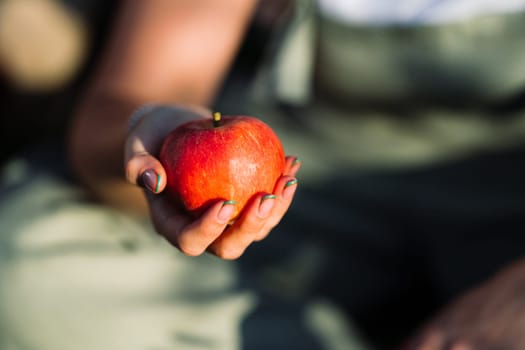 Woman gardener offers red apple. Lady holding in hand ripe fruit. Harvest. High quality photo