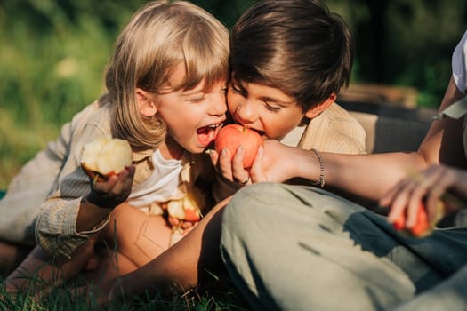 Cute little toddler boys picking up ripe red apples in basket. Brothers in garden explores plants, nature in autumn. Amazing scene. Twins, family, love, harvest, childhood concept