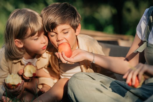 Cute little toddler boys picking up ripe red apples in basket. Brothers in garden explores plants, nature in autumn. Amazing scene. Twins, family, love, harvest, childhood concept