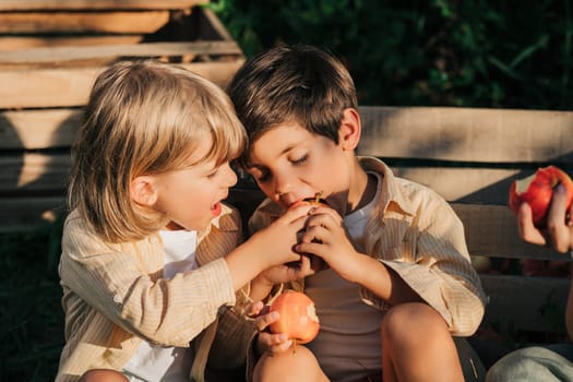 Cute little toddler boys picking up ripe red apples in basket. Brothers in garden explores plants, nature in autumn. Amazing scene. Twins, family, love, harvest, childhood concept