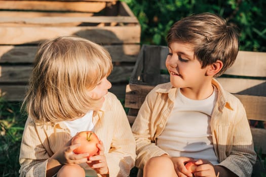 Cute little toddler boys picking up ripe red apples in basket. Brothers in garden explores plants, nature in autumn. Amazing scene. Twins, family, love, harvest, childhood concept