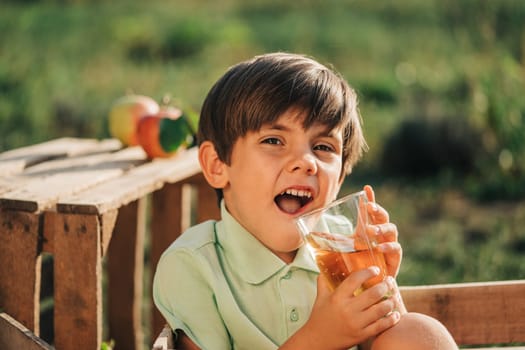 Cute little toddler boy drinking apple juice in wooden box in orchard. Son in home garden explores plants, nature in autumn countryside. Amazing scene. Family, love, harvest, childhood concept