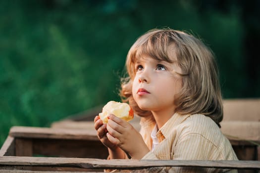 Cute little toddler boy eating ripe red apple in wooden box in orchard. Son in home garden explores plants, nature in autumn countryside. Amazing scene. Family, love, harvest, childhood concept