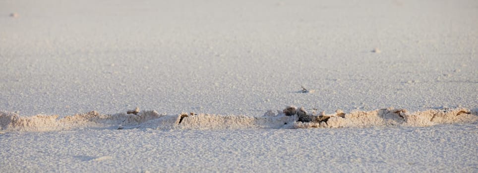 landscape of dry salt lake bed, cracked surface. Natural salt Close up. Surface of a salt lake, background. Top view on Pink salt lake.