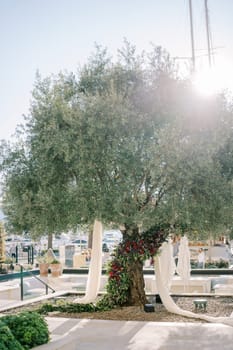 Wedding arch tree decorated with bright flowers and white fabric on a pier by the sea. High quality photo