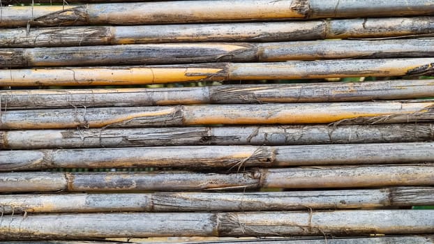 Background texture of dry bamboo cane, flat lay, vertical frame, close-up