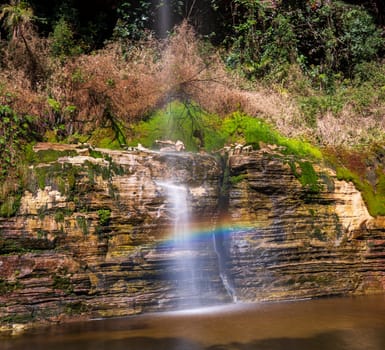 A serene waterfall with a rainbow amidst a lush forest.