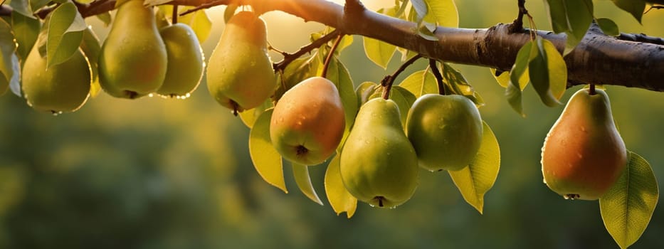 pears grow on a tree. selective focus. Food Generative AI,