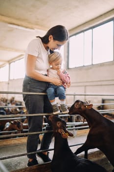 Mom stands next to a little girl sitting on the fence of the corral, which is sniffed by goats. High quality photo