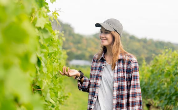 Beautiful woman as gardener or farmer of grape yard walk and check the quality in the field with day light and she look happy.