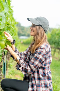 Vertical image of winery worker or farmer woman walk and check grape vine in the yard or field with day light.