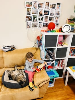 Little girl sits on a sofa with a toy next to a lying cat. High quality photo