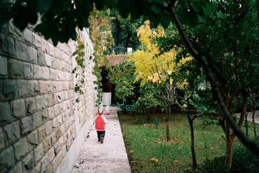 Little girl walks along a path in the garden along a stone fence. Back view. High quality photo
