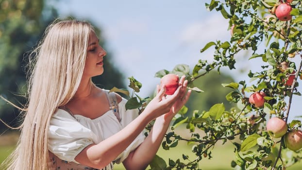 A young woman plucks an apple from a tree and eats it