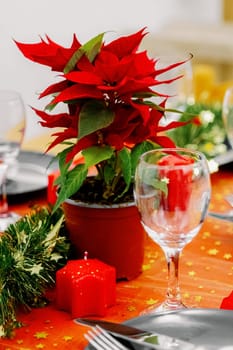 One small red candle with a Christmas flower stands on a festively served table with a glass and a red tablecloth on a winter evening in the kitchen, close-up side view.
