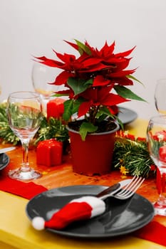 One Christmas flower in a pot stands on a festively served table with a gray plate, knife, fork, glass, red tablecloth and green tinsel on a winter evening in the kitchen, side view close-up with selective focus.