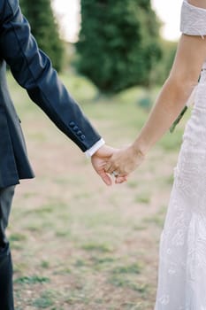 Bride and groom stand holding hands in the park. Back view. Cropped. High quality photo