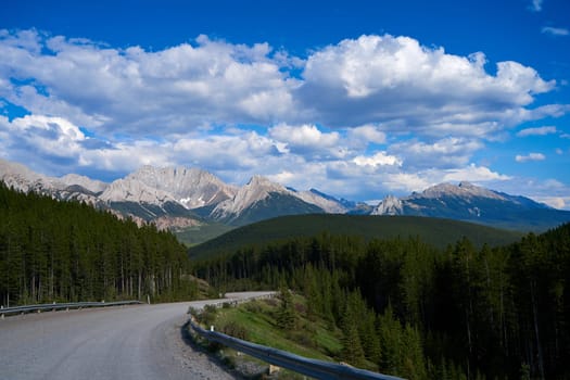 Beautiful view from a car on the Rocky Mountains in Banff National Park in Alberta. Panorama of a road in the mountains past a coniferous forest on a sunny day in summer