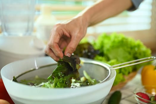 Senior man sorting fresh green lettuce, preparing healthy vegetarian meal in kitchen