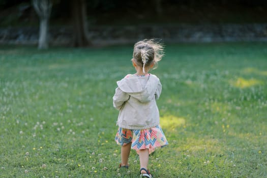 Little girl with her hair fluttering in the wind is walking along a green lawn. Back view. High quality photo