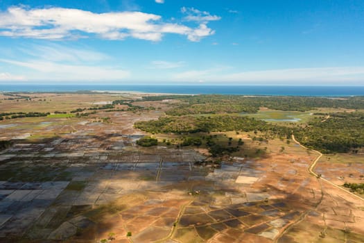 Top view of Rice fields and agricultural land in rural areas. Sri Lanka.