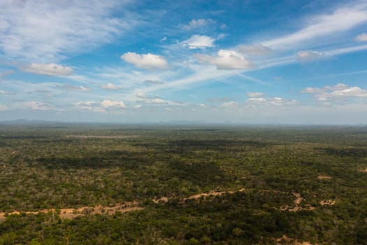 Aerial drone of Jungle and rainforest in the National Park. Sri Lanka.