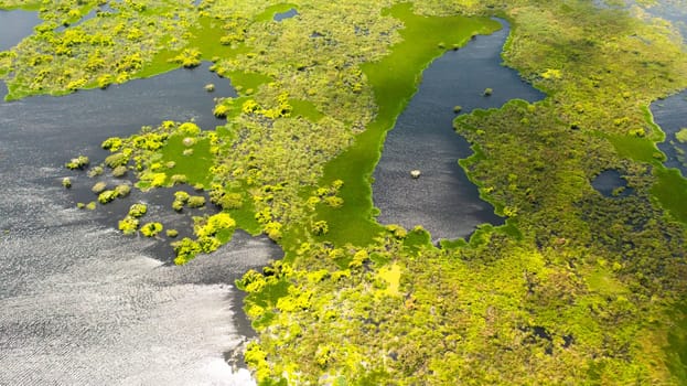 Aerial view of Lake or swamp with tropical vegetation and aquatic plants. Kumana National Park, Sri Lanka.