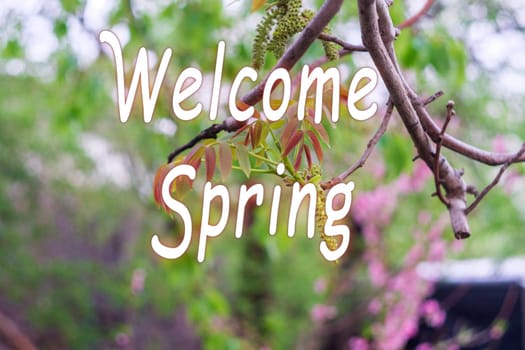 Welcome spring message - Springtime, flowers blossoming twigs. The beginning of the season. Selective focus