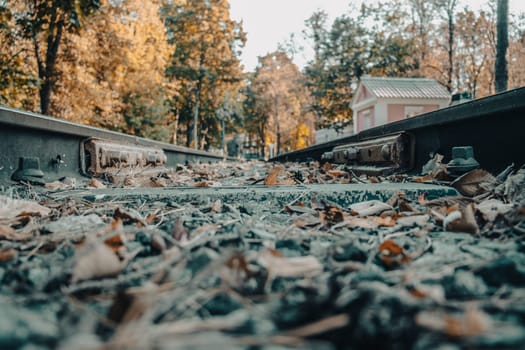 Railway road through a forested area concept photo. Majestic scenery of railway road in forest. Railroad in Europe. Commercial transportation. High quality picture for wallpaper, travel blog.